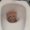 rennieweenie