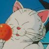 catzhe