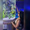 milagrosaliaga26