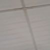 rosas_rizo