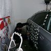gio.mayorga