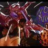dakotas_rottz
