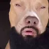 bonitochico81