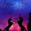 unicornhoodgirl12345