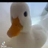 lollerooo