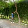 misterlimon30