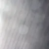 donaidherepeps