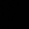 1_amira