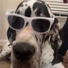 oakley_bigdawg