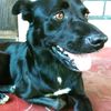 diego2904gm