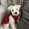 jazzie_174