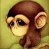 monkey.boy.lucas11