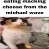 lolclxver
