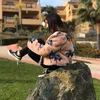 melissa_ohayon02
