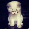 linda_bva