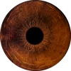 e_276_l