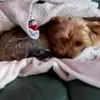 juliaandpako