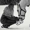 racing_palomino
