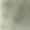 euclarasecret