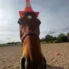 elo_nvk