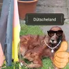 thecreepertnt