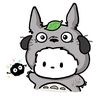 karin_a554