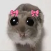qu4lqu3rcois1