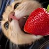 cherry.lady._