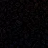 utilisatrice.lv_