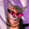 beancat18