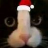 meowk1tt.y
