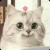 kittytraphouse_
