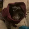 ellieee.mai