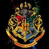 derrepente_um_potterhead