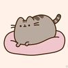 yarmoresaymeow