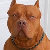 jace479960