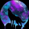 wolfloe