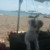 ruthcambar