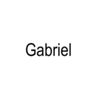 gabeevelaa