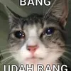 okssaja