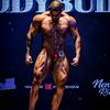 sebas_andree