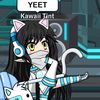 _k.p.boom.catz_