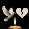 willneverforgetyoumister