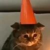 caxtchthezelzz