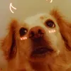 domi_ka5