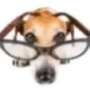 nand08_