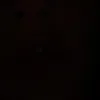 _.pippoparissss