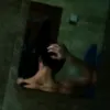 ricardogmz._