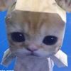 seasear3d