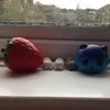 colourfullightning